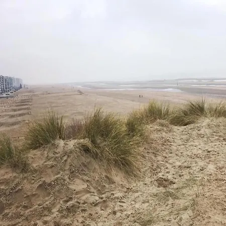 By The Sea In Belgium With Balcony, Cleaning Included *