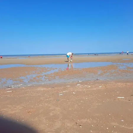 By The Sea In Belgium With Balcony, Cleaning Included