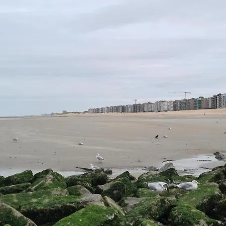 By The Sea In Belgium With Balcony, Cleaning Included Apartamento *