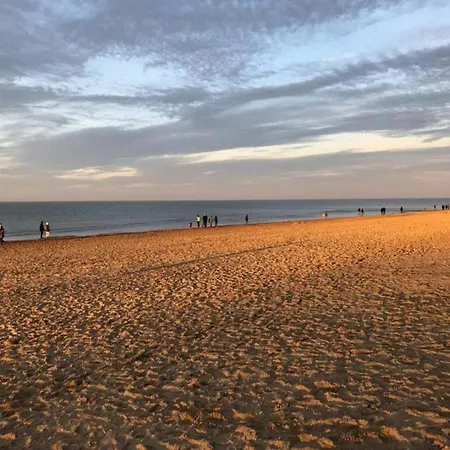 아파트 By The Sea In Belgium With Balcony, Cleaning Included 코크시데